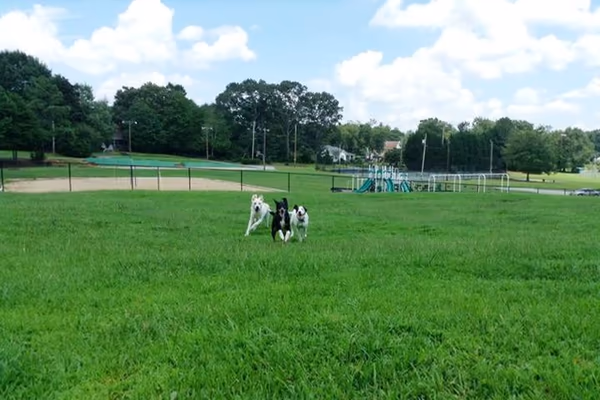 Bark Park at Laurens City Park photo 2